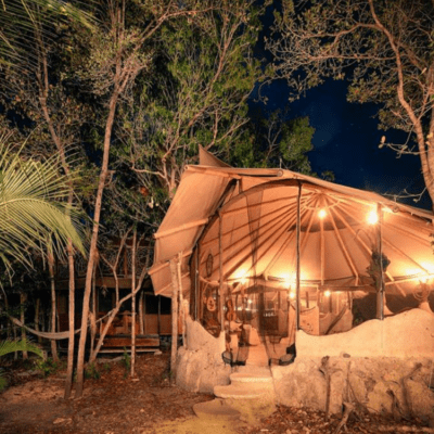 Ekran görüntüsü 2024-11-28 184548